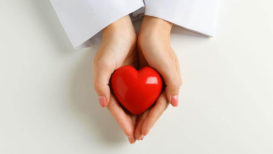Hände halten ein rotes Herz als Symbol für die Kardio-CT in der Herz- und Gefäßdiagnostik.